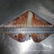 frozen seafood giant squid wing cleaned dosidicus gigas factory